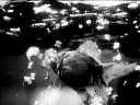 fish photo